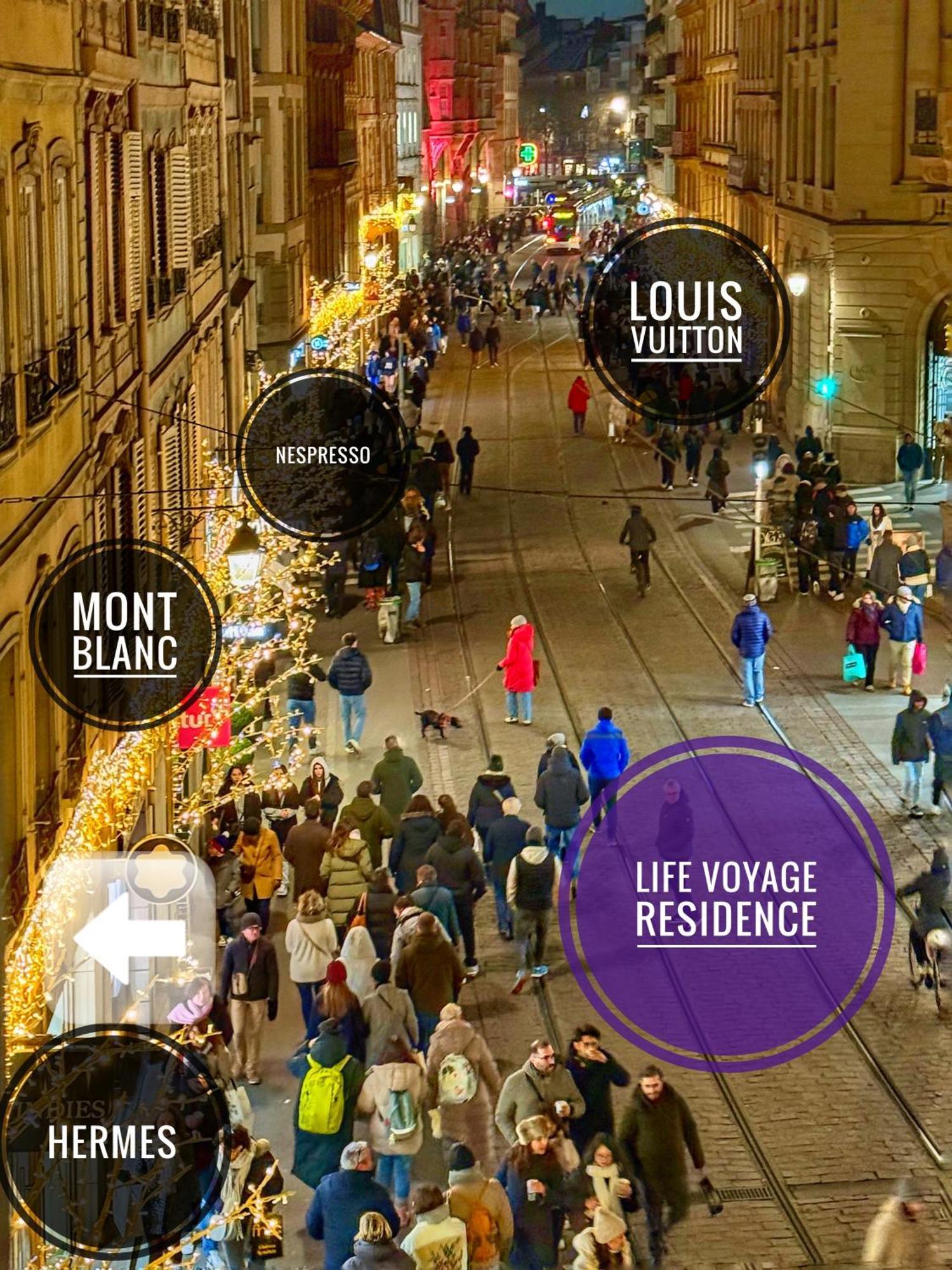 Life Voyage Residence & Spa - Strasbourg'S City Center Luxury Experience Esterno foto